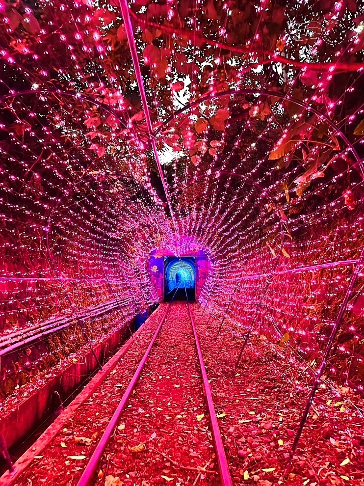 【深澳鐵道自行車】隧道