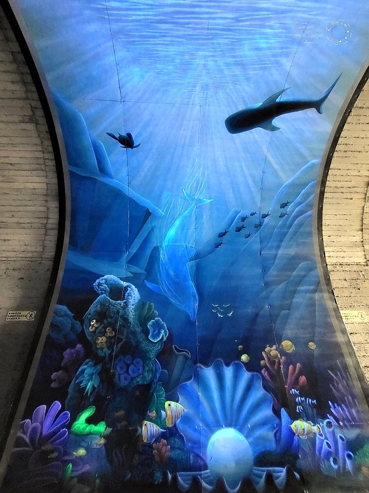 【蘇東隧道】3D海底世界