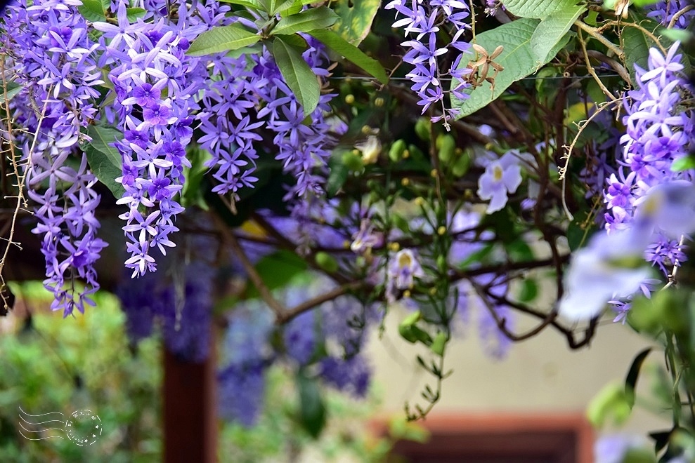 體驗百年鹿港！鹿港老街獨有文青風潮，歷史與現代交織的文化寶藏地