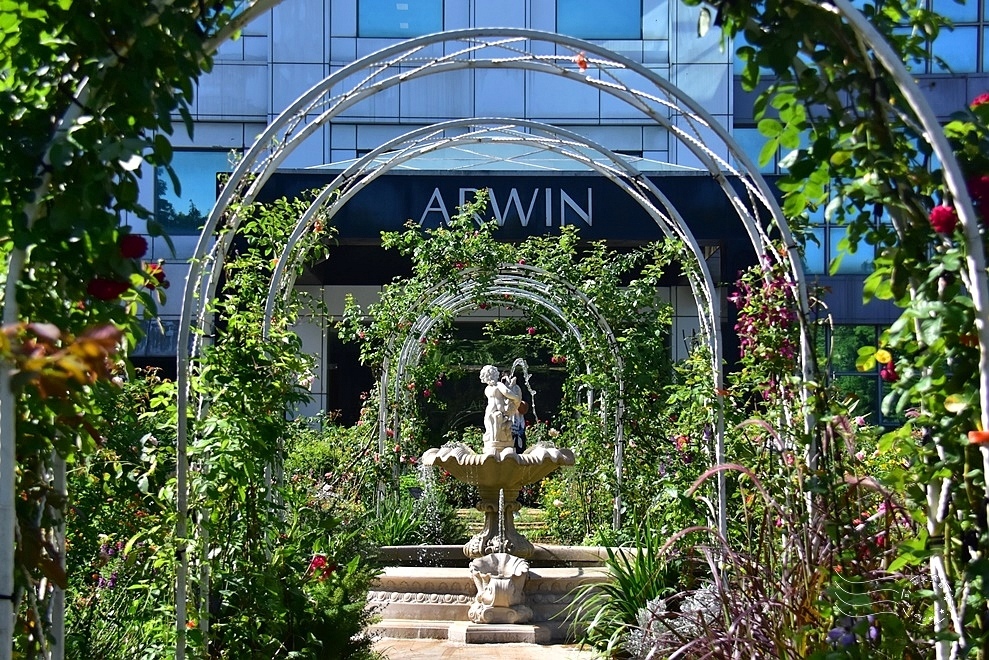 【雅聞魅力博物館】：玫瑰花園