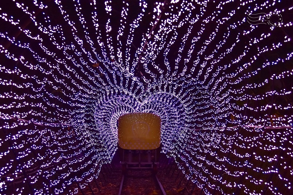 【深澳鐵道自行車】隧道