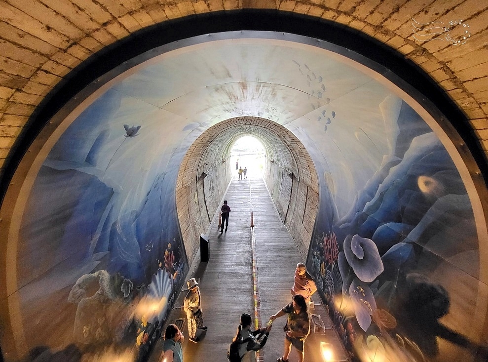 【蘇東隧道】3D海底世界