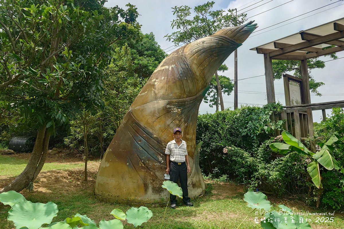 桃園市觀音區【桃園季節限定】蓮荷園休閒農場｜大王蓮水上漂體驗、寵物友善農園、美食洛神花臭豆腐、蓮子豆花。桃園景點