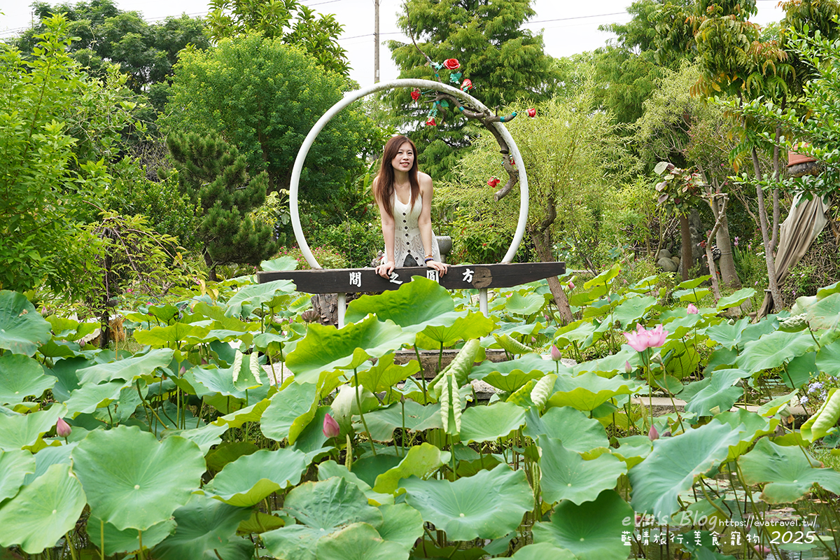 桃園市觀音區【桃園季節限定】蓮荷園休閒農場｜大王蓮水上漂體驗、寵物友善農園、美食洛神花臭豆腐、蓮子豆花。桃園景點