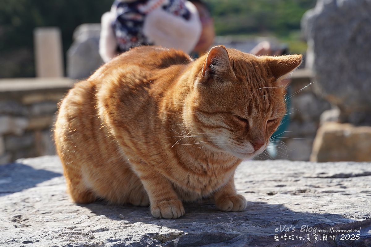 土耳其【土耳其蜜月旅遊】Ephesus Archaeological Site 艾菲索斯古城（以弗所）｜漫步千年古羅馬遺址令人驚嘆。土耳其景點