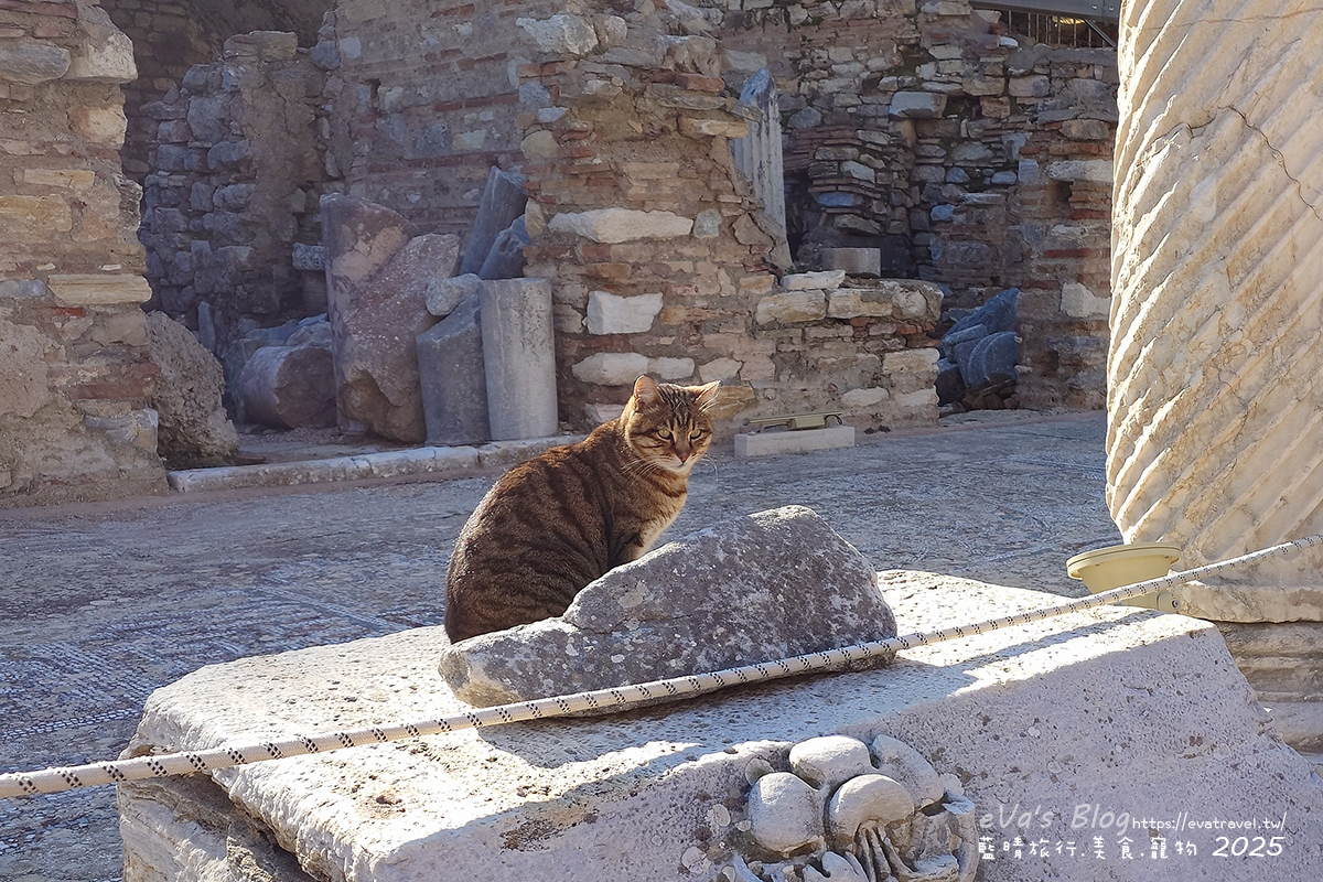 土耳其【土耳其蜜月旅遊】Ephesus Archaeological Site 艾菲索斯古城（以弗所）｜漫步千年古羅馬遺址令人驚嘆。土耳其景點