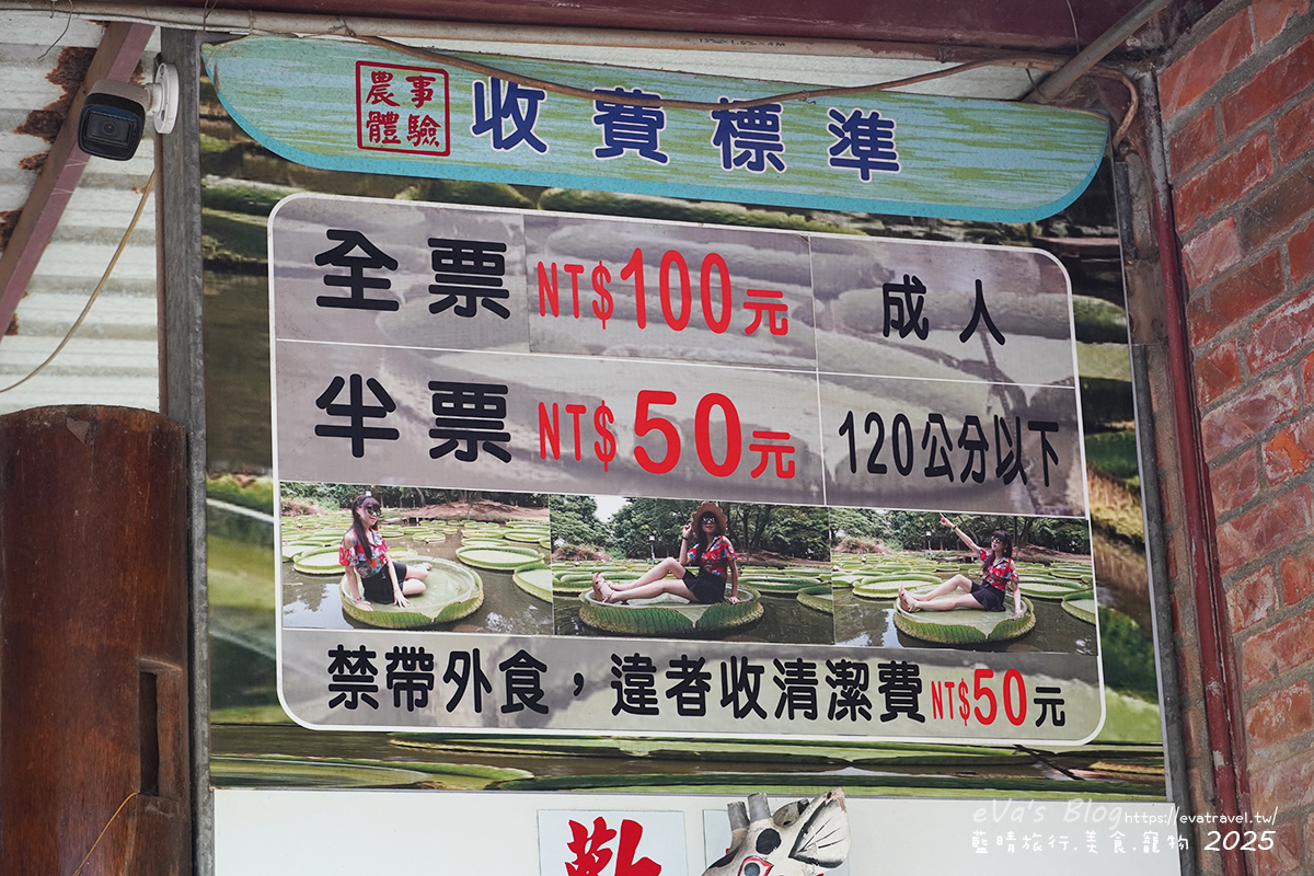 桃園市觀音區【桃園季節限定】蓮荷園休閒農場｜大王蓮水上漂體驗、寵物友善農園、美食洛神花臭豆腐、蓮子豆花。桃園景點