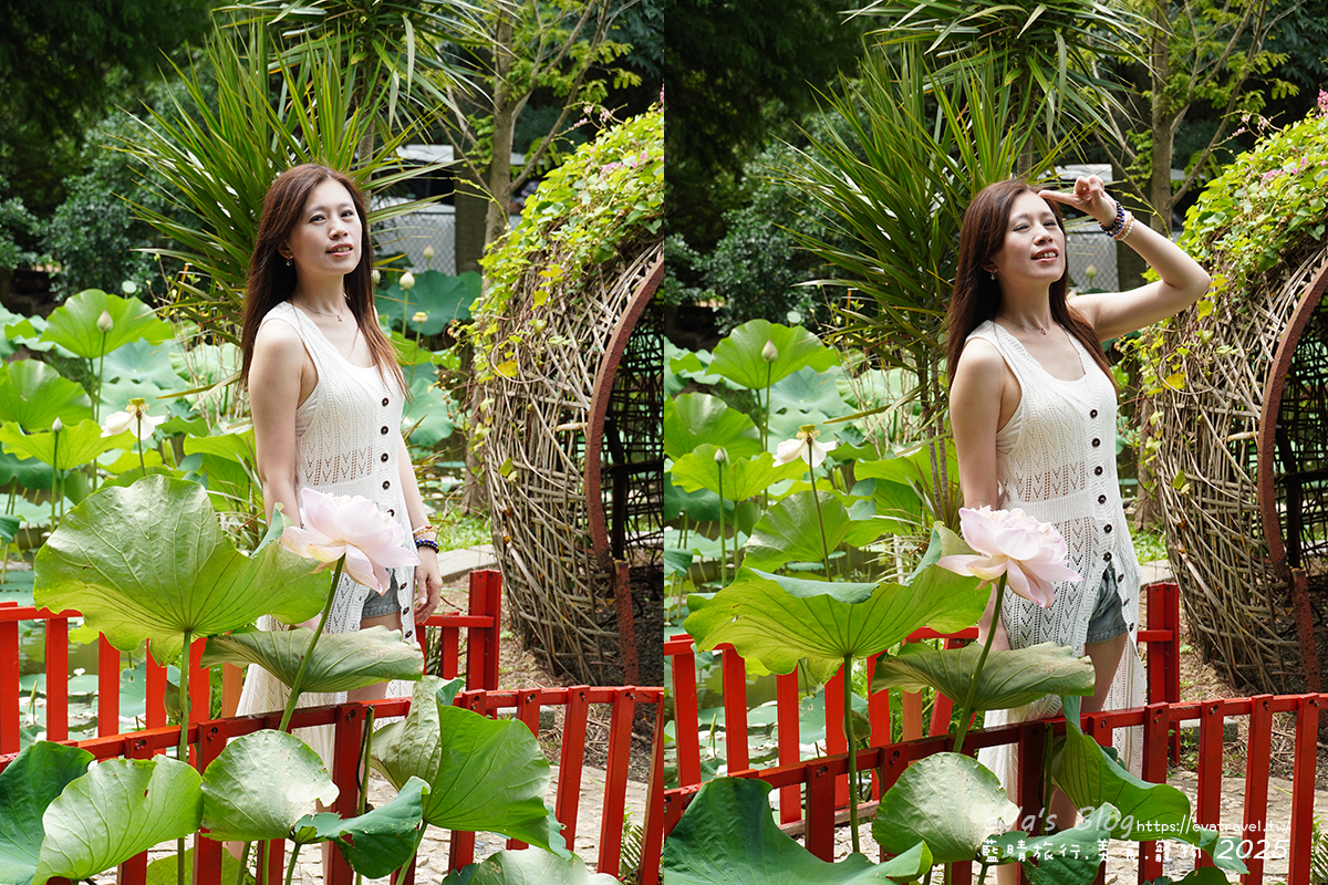 桃園市觀音區【桃園季節限定】蓮荷園休閒農場｜大王蓮水上漂體驗、寵物友善農園、美食洛神花臭豆腐、蓮子豆花。桃園景點