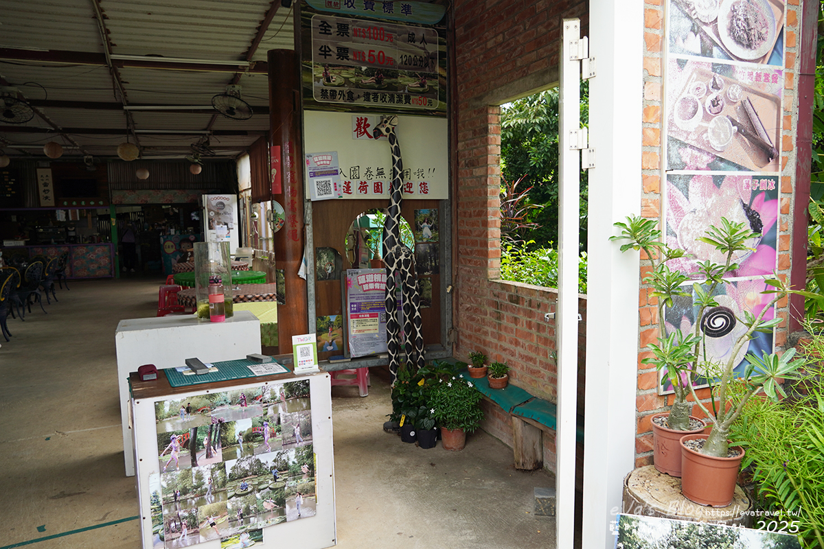 桃園市觀音區【桃園季節限定】蓮荷園休閒農場｜大王蓮水上漂體驗、寵物友善農園、美食洛神花臭豆腐、蓮子豆花。桃園景點