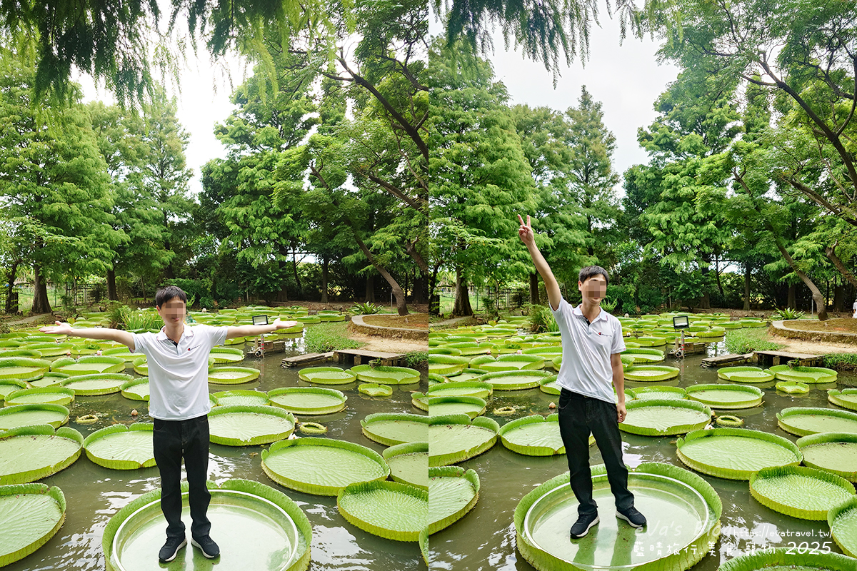 桃園市觀音區【桃園季節限定】蓮荷園休閒農場｜大王蓮水上漂體驗、寵物友善農園、美食洛神花臭豆腐、蓮子豆花。桃園景點