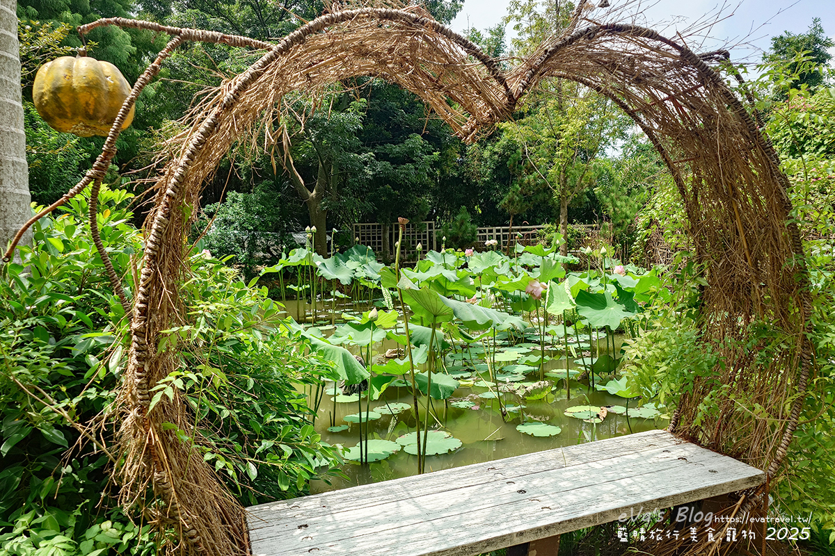 桃園市觀音區【桃園季節限定】蓮荷園休閒農場｜大王蓮水上漂體驗、寵物友善農園、美食洛神花臭豆腐、蓮子豆花。桃園景點