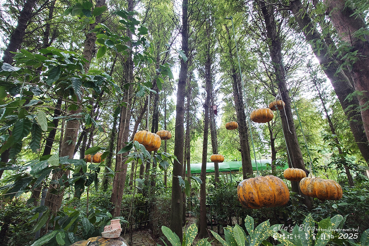 桃園市觀音區【桃園季節限定】蓮荷園休閒農場｜大王蓮水上漂體驗、寵物友善農園、美食洛神花臭豆腐、蓮子豆花。桃園景點
