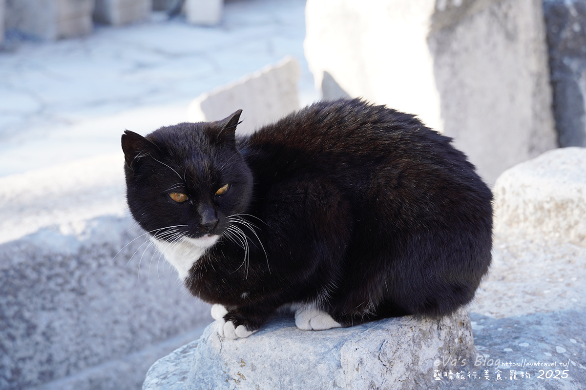 土耳其【土耳其蜜月旅遊】Ephesus Archaeological Site 艾菲索斯古城（以弗所）｜漫步千年古羅馬遺址令人驚嘆。土耳其景點