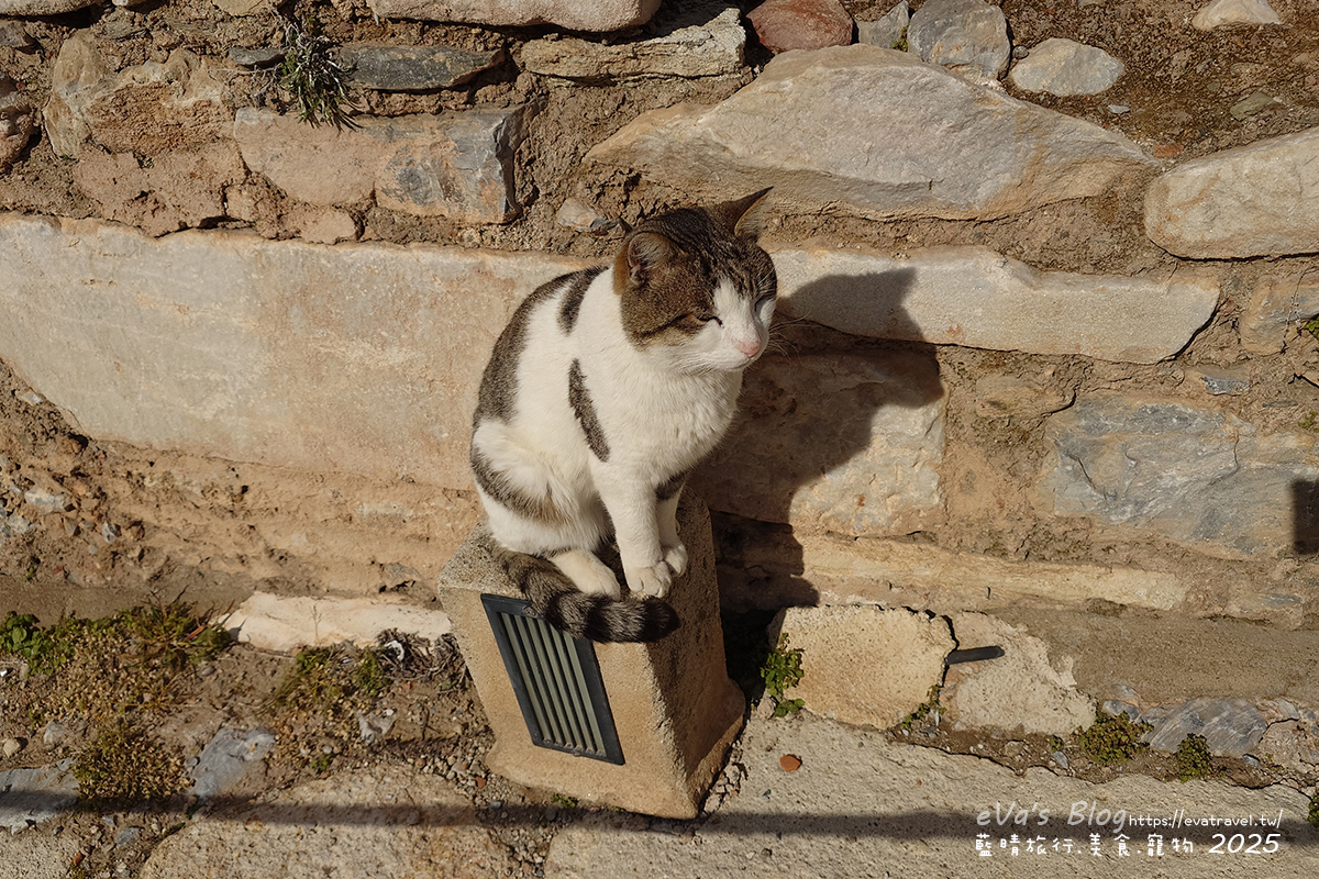 土耳其【土耳其蜜月旅遊】Ephesus Archaeological Site 艾菲索斯古城（以弗所）｜漫步千年古羅馬遺址令人驚嘆。土耳其景點