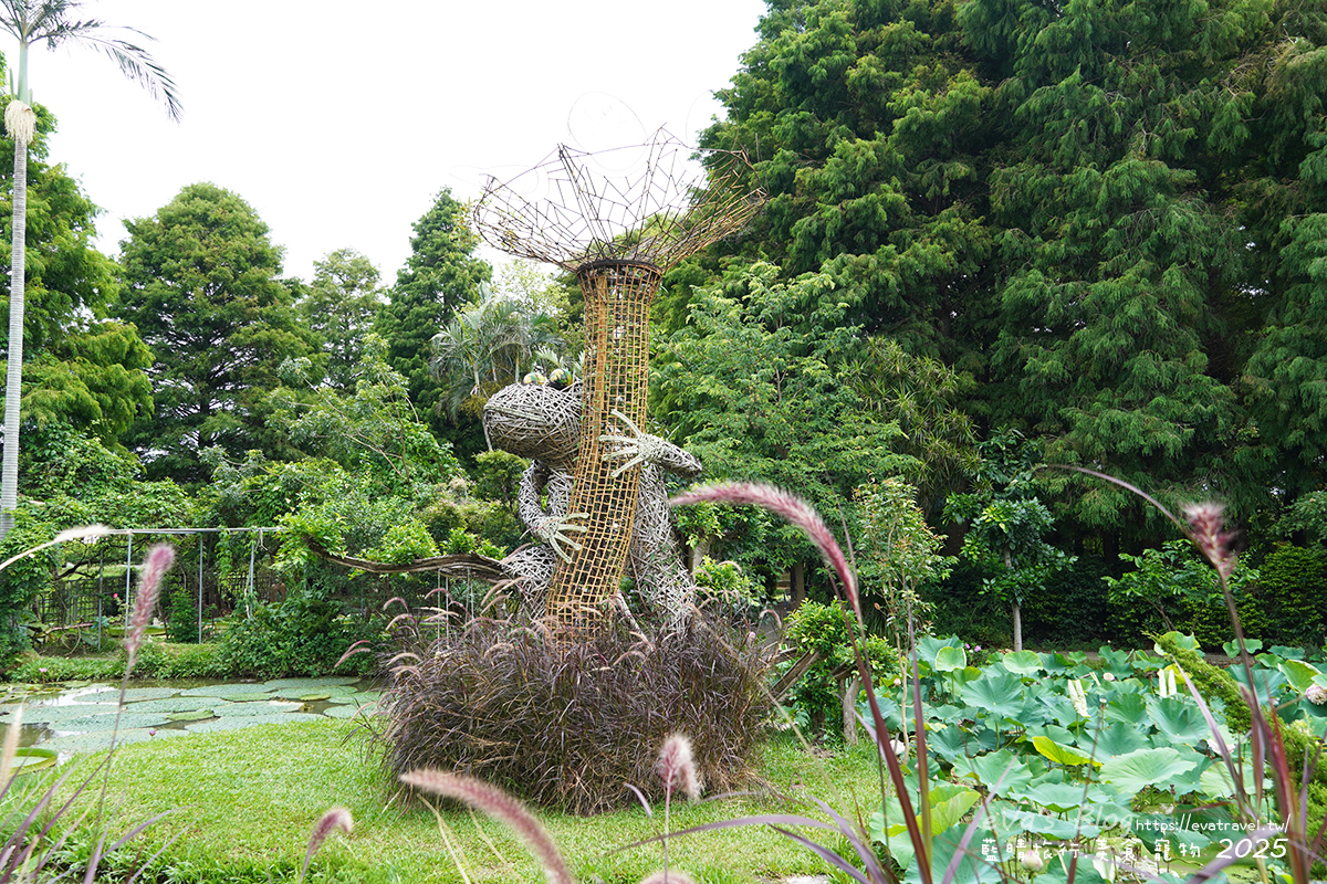 桃園市觀音區【桃園季節限定】蓮荷園休閒農場｜大王蓮水上漂體驗、寵物友善農園、美食洛神花臭豆腐、蓮子豆花。桃園景點