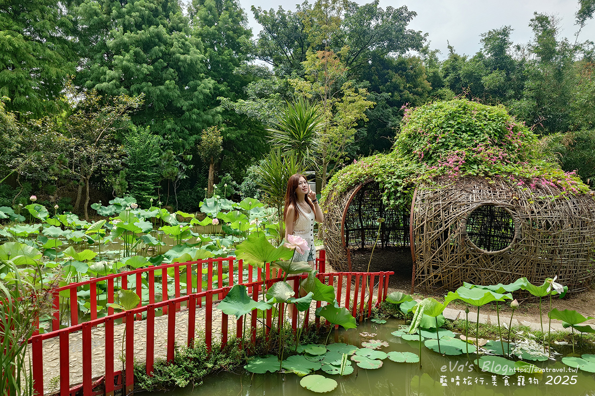 桃園市觀音區【桃園季節限定】蓮荷園休閒農場｜大王蓮水上漂體驗、寵物友善農園、美食洛神花臭豆腐、蓮子豆花。桃園景點