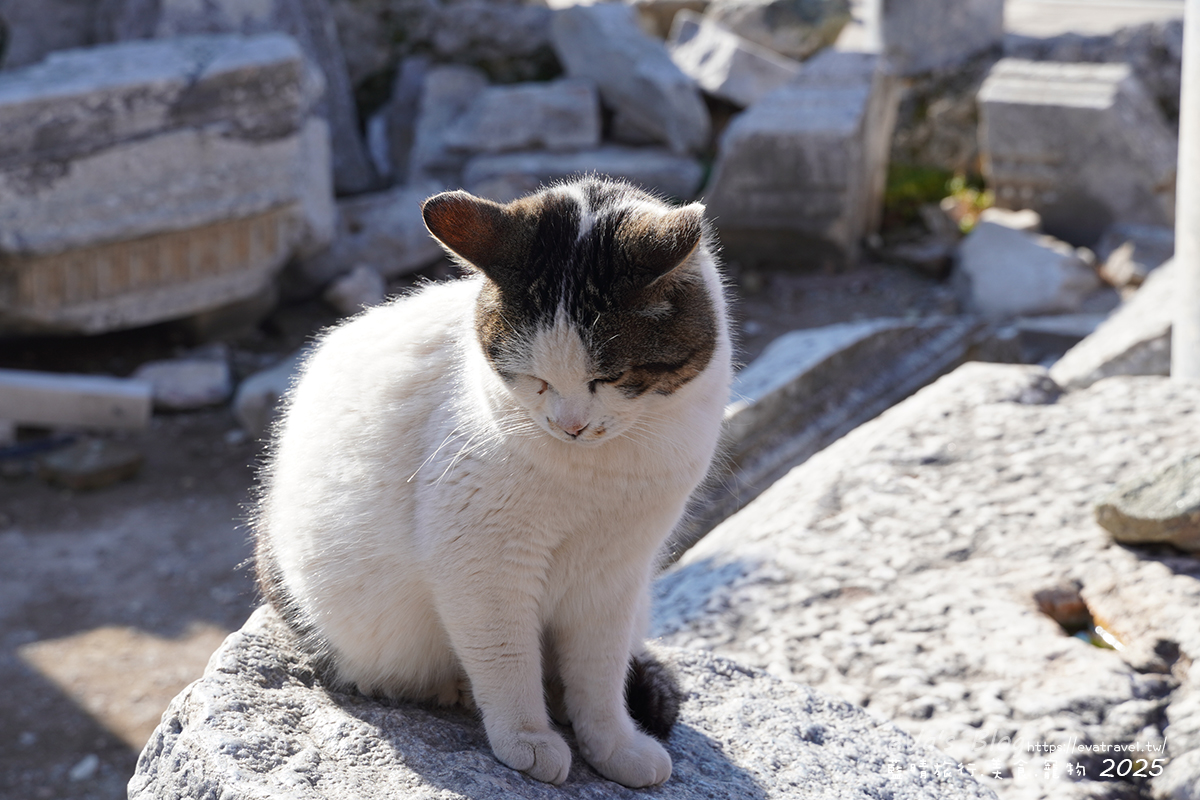 土耳其【土耳其蜜月旅遊】Ephesus Archaeological Site 艾菲索斯古城（以弗所）｜漫步千年古羅馬遺址令人驚嘆。土耳其景點