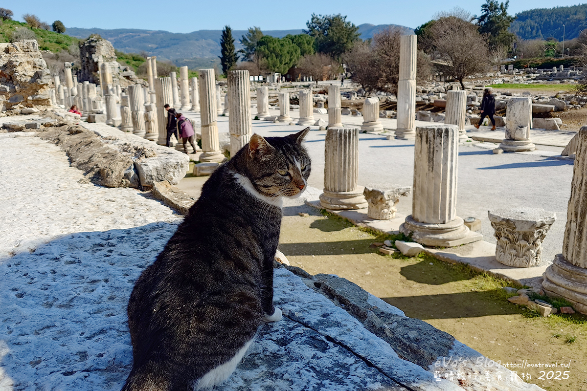 土耳其【土耳其蜜月旅遊】Ephesus Archaeological Site 艾菲索斯古城（以弗所）｜漫步千年古羅馬遺址令人驚嘆。土耳其景點