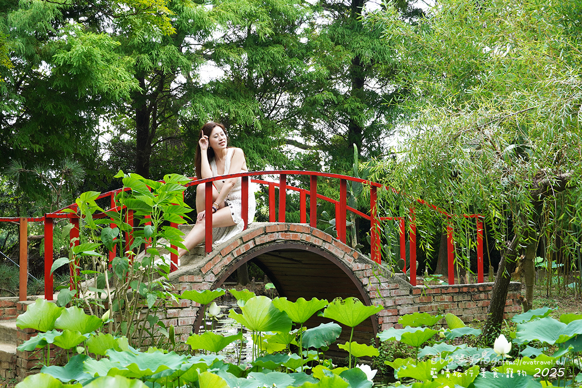 桃園市觀音區【桃園季節限定】蓮荷園休閒農場｜大王蓮水上漂體驗、寵物友善農園、美食洛神花臭豆腐、蓮子豆花。桃園景點