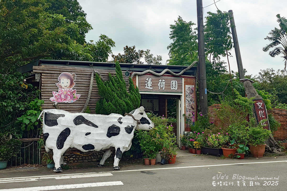 桃園市觀音區【桃園季節限定】蓮荷園休閒農場｜大王蓮水上漂體驗、寵物友善農園、美食洛神花臭豆腐、蓮子豆花。桃園景點