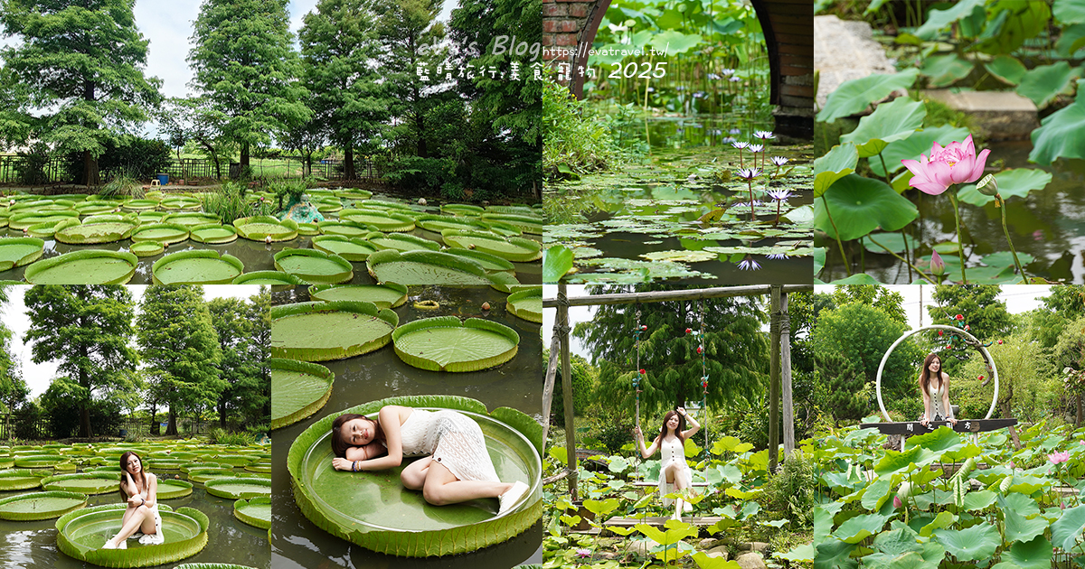 桃園市觀音區【桃園季節限定】蓮荷園休閒農場｜大王蓮水上漂體驗、寵物友善農園、美食洛神花臭豆腐、蓮子豆花。桃園景點