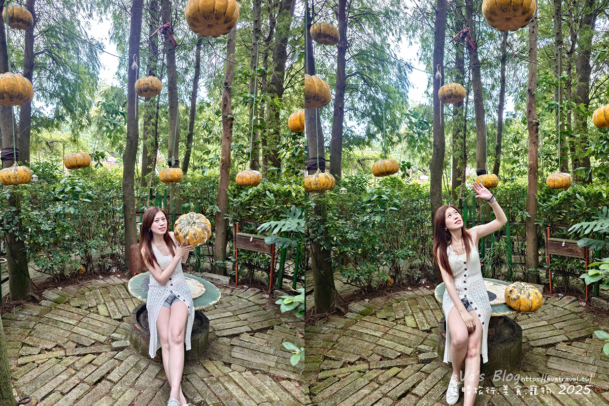 桃園市觀音區【桃園季節限定】蓮荷園休閒農場｜大王蓮水上漂體驗、寵物友善農園、美食洛神花臭豆腐、蓮子豆花。桃園景點