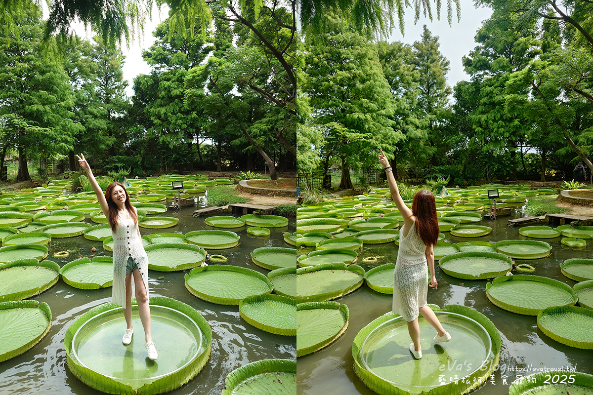 桃園市觀音區【桃園季節限定】蓮荷園休閒農場｜大王蓮水上漂體驗、寵物友善農園、美食洛神花臭豆腐、蓮子豆花。桃園景點