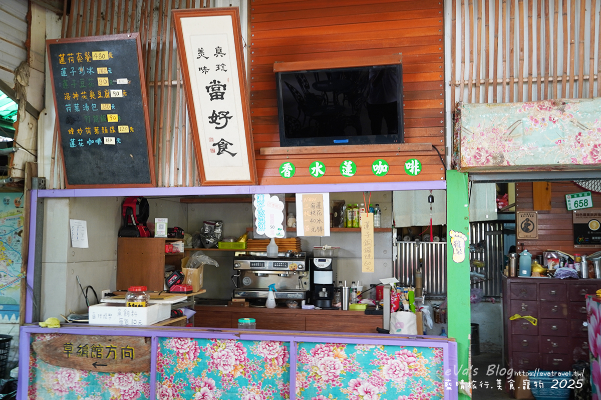 桃園市觀音區【桃園季節限定】蓮荷園休閒農場｜大王蓮水上漂體驗、寵物友善農園、美食洛神花臭豆腐、蓮子豆花。桃園景點