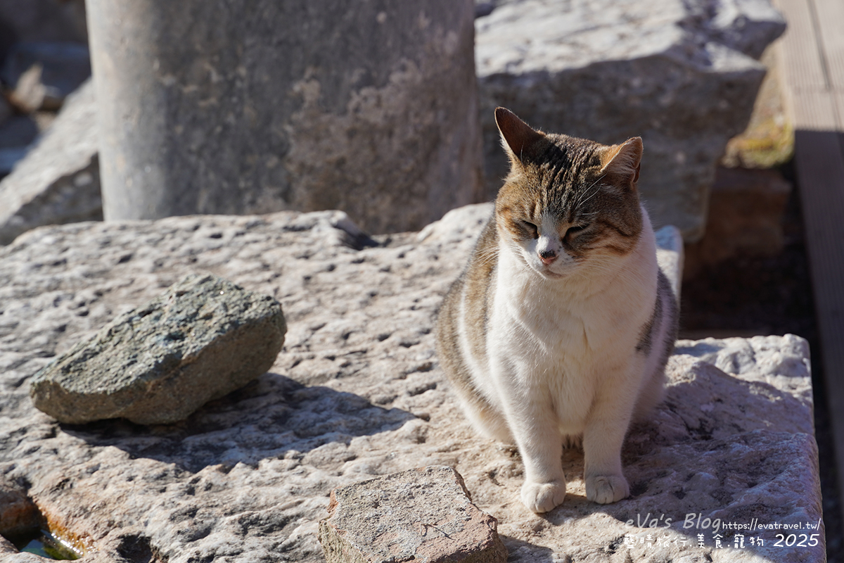 土耳其【土耳其蜜月旅遊】Ephesus Archaeological Site 艾菲索斯古城（以弗所）｜漫步千年古羅馬遺址令人驚嘆。土耳其景點