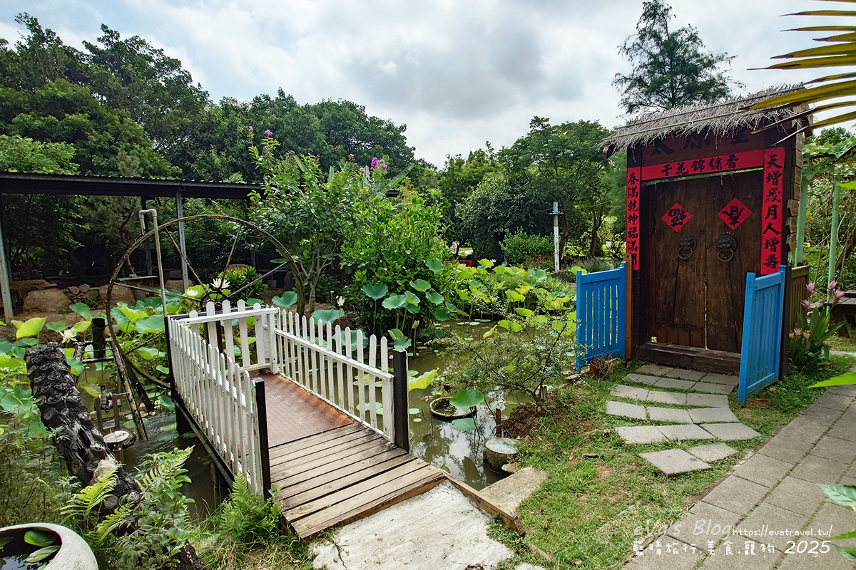 桃園市觀音區【桃園季節限定】蓮荷園休閒農場｜大王蓮水上漂體驗、寵物友善農園、美食洛神花臭豆腐、蓮子豆花。桃園景點