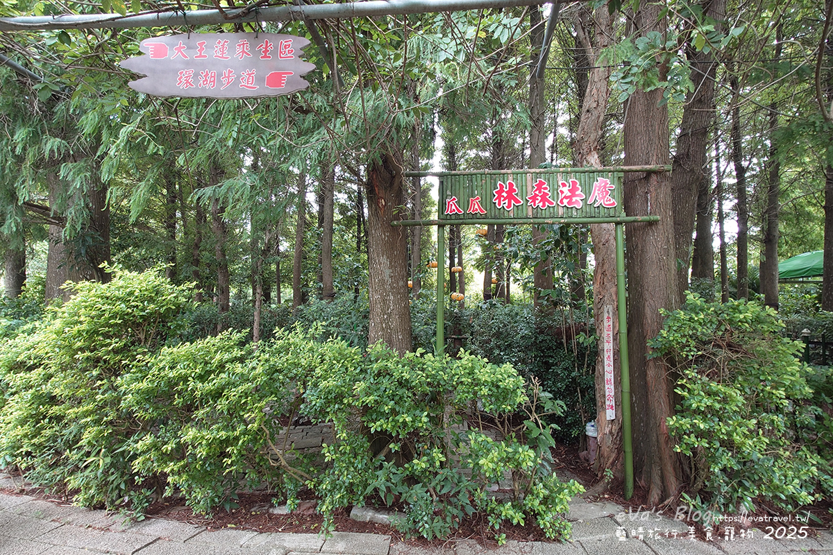 桃園市觀音區【桃園季節限定】蓮荷園休閒農場｜大王蓮水上漂體驗、寵物友善農園、美食洛神花臭豆腐、蓮子豆花。桃園景點