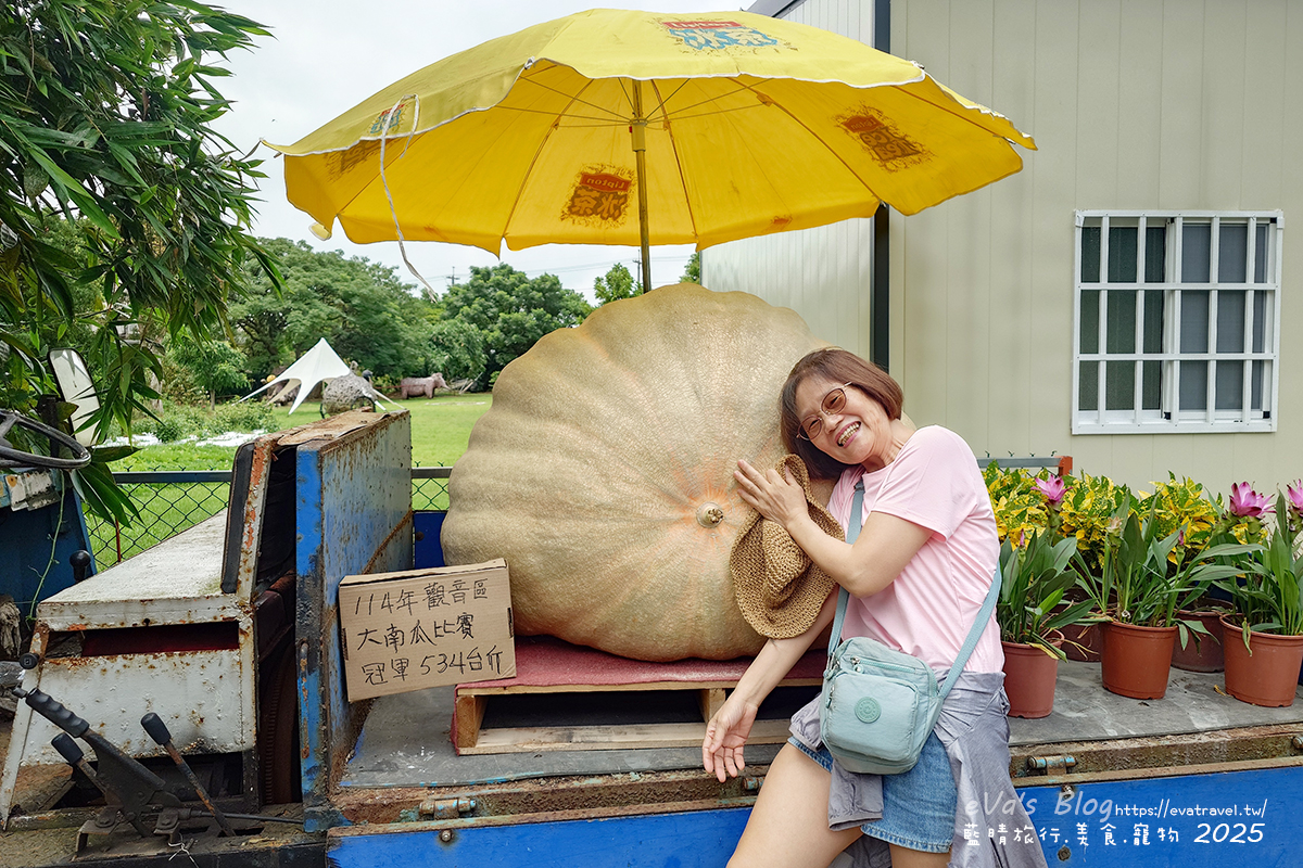 桃園市觀音區【桃園季節限定】蓮荷園休閒農場｜大王蓮水上漂體驗、寵物友善農園、美食洛神花臭豆腐、蓮子豆花。桃園景點