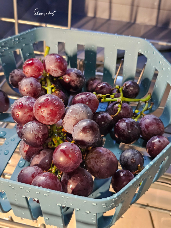 CHEFBORN韓國天廚 五人份自動開關門熱對流洗碗機 小家