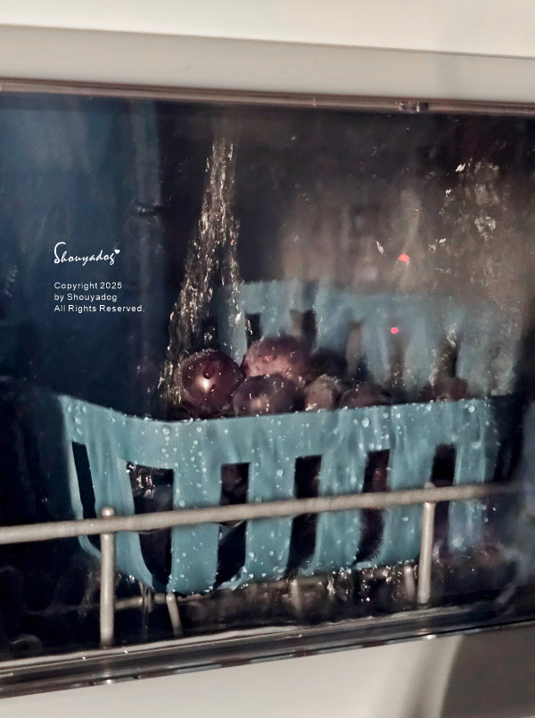 CHEFBORN韓國天廚 五人份自動開關門熱對流洗碗機 小家