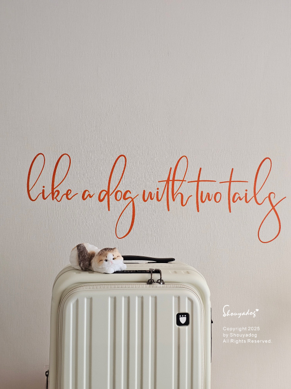 SWISS STYLE BERMAS TOP 2.0升級版