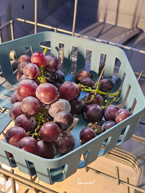 CHEFBORN韓國天廚 五人份自動開關門熱對流洗碗機 小家