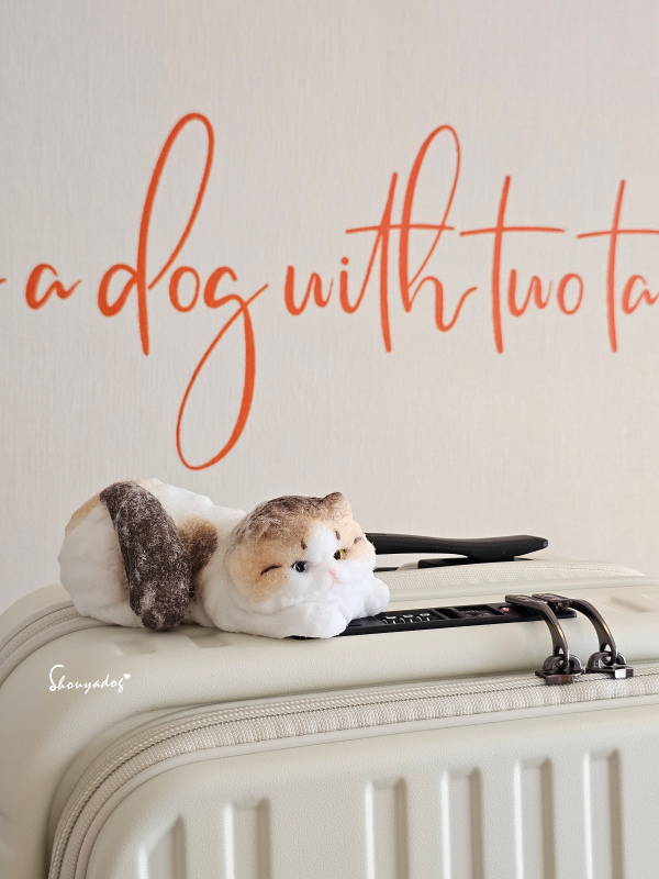 SWISS STYLE BERMAS TOP 2.0升級版