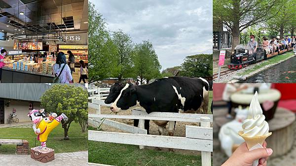 雲林免門票牧場推薦！千巧谷牛樂園，可搭小火車逛樂園，親子旅遊好景點