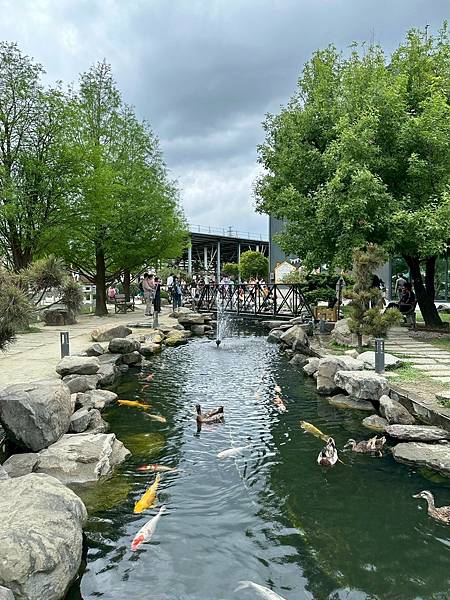 雲林免門票牧場推薦！千巧谷牛樂園，可搭小火車逛樂園，親子旅遊好景點