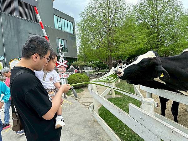 雲林免門票牧場推薦！千巧谷牛樂園，可搭小火車逛樂園，親子旅遊好景點