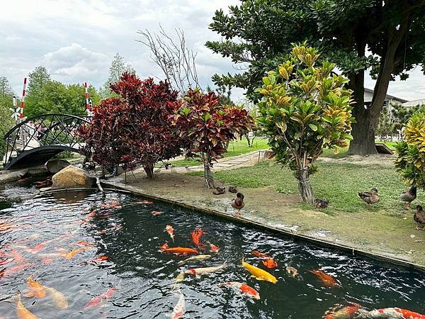 雲林免門票牧場推薦！千巧谷牛樂園，可搭小火車逛樂園，親子旅遊好景點