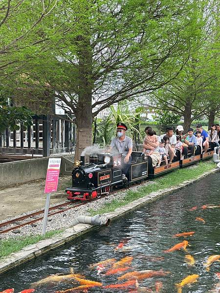 雲林免門票牧場推薦！千巧谷牛樂園，可搭小火車逛樂園，親子旅遊好景點