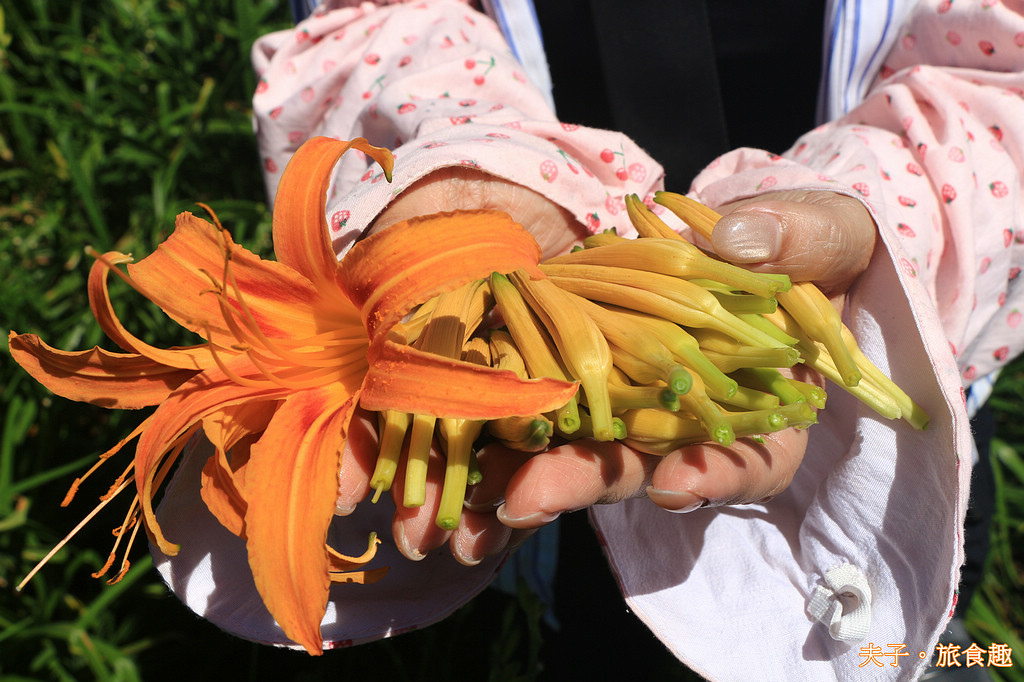 2025花蓮金針季 花海綻放萌力全開 玩不一樣的六十石山