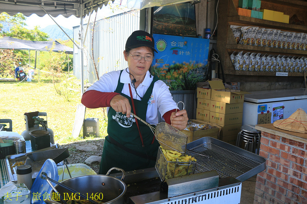 2025花蓮金針季 花海綻放萌力全開 玩不一樣的六十石山