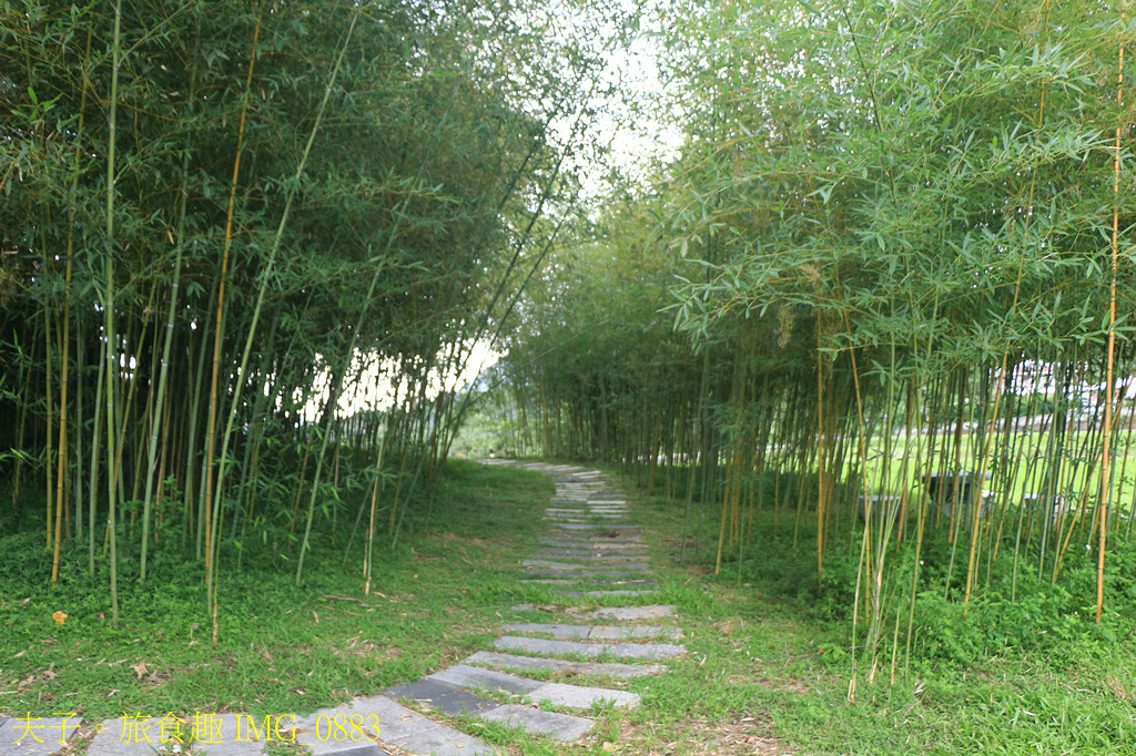 富里旅遊亮點 2025縱谷大地藝術季-漂鳥197 X 羅山大