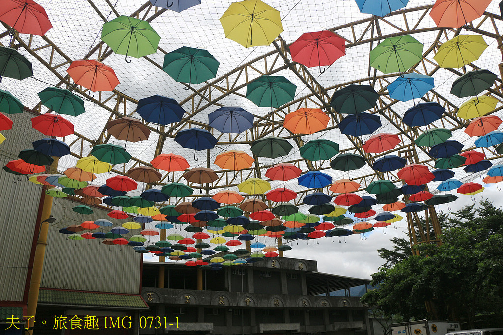 2025花蓮金針季 花海綻放萌力全開 玩不一樣的六十石山