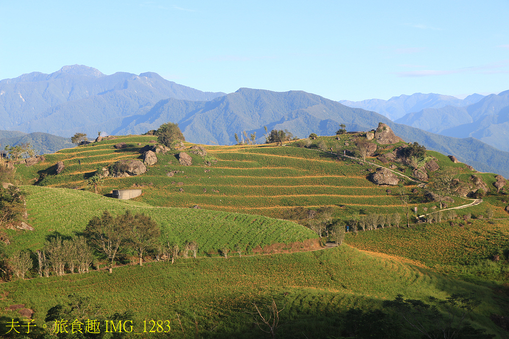 2025花蓮金針花季 六十石山 貓貓蟲咖波 X 花仙子朵拉 