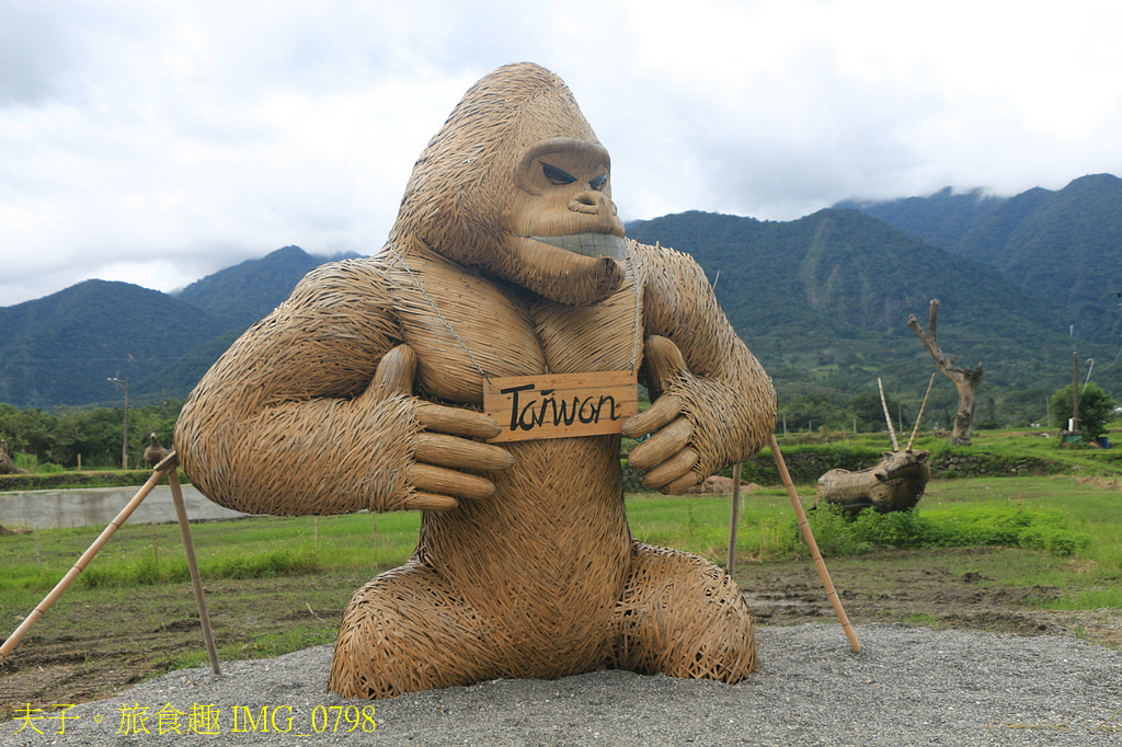 2025花蓮金針季 花海綻放萌力全開 玩不一樣的六十石山