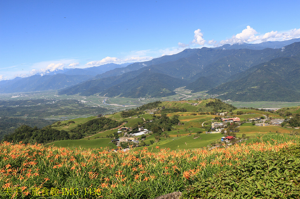 2025花蓮金針季 花海綻放萌力全開 玩不一樣的六十石山