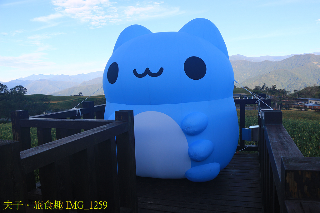 2025花蓮金針季 花海綻放萌力全開 玩不一樣的六十石山